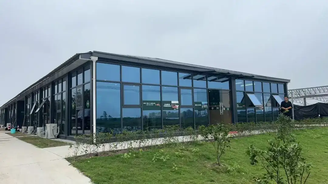 翌卡通：科技赋能智慧渔业，数字化转型的 “破局与共富”